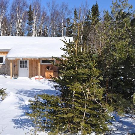 Birch Plain The Sleeping Moose Cottage מראה חיצוני תמונה