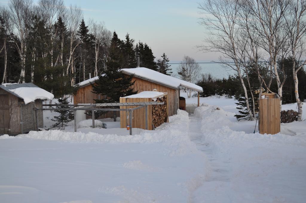 Birch Plain The Sleeping Moose Cottage מראה חיצוני תמונה