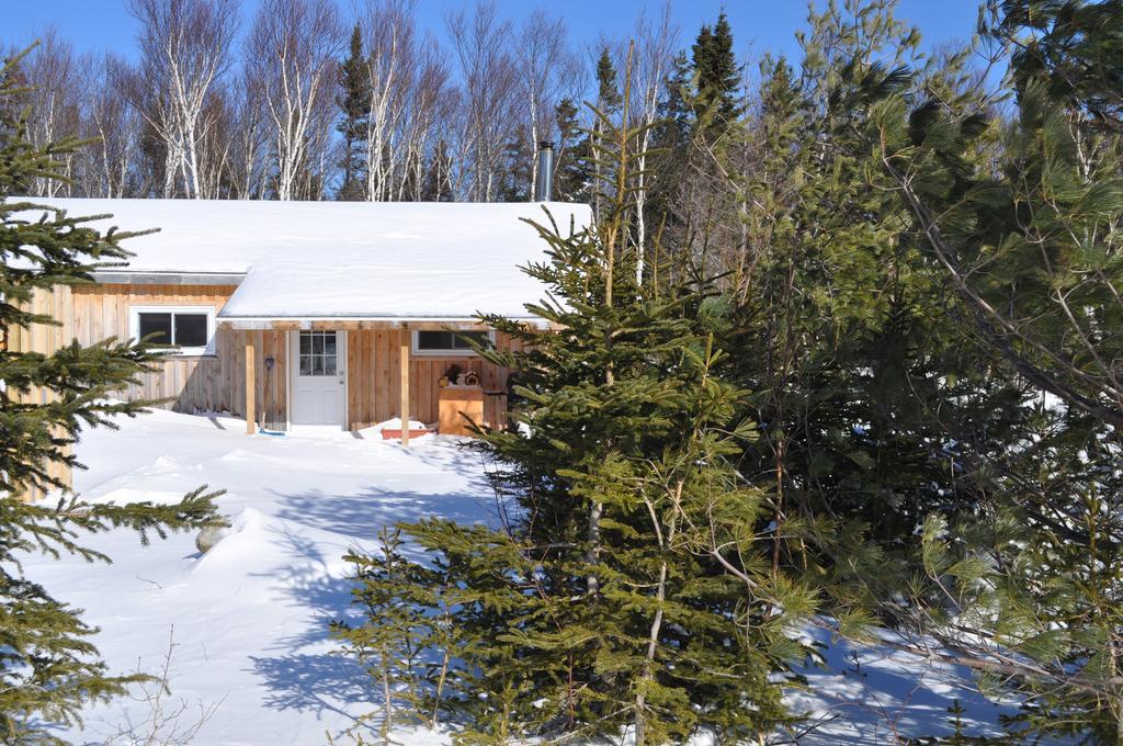 Birch Plain The Sleeping Moose Cottage מראה חיצוני תמונה