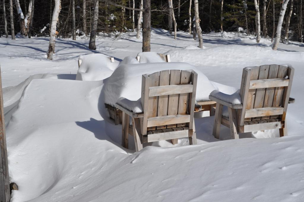Birch Plain The Sleeping Moose Cottage מראה חיצוני תמונה