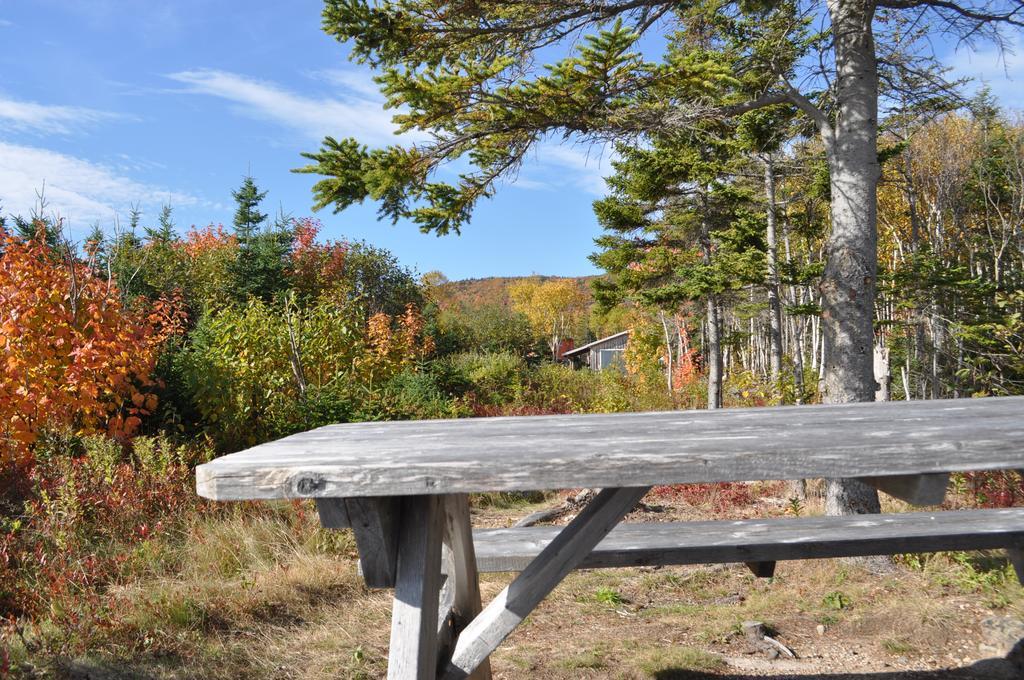 Birch Plain The Sleeping Moose Cottage מראה חיצוני תמונה