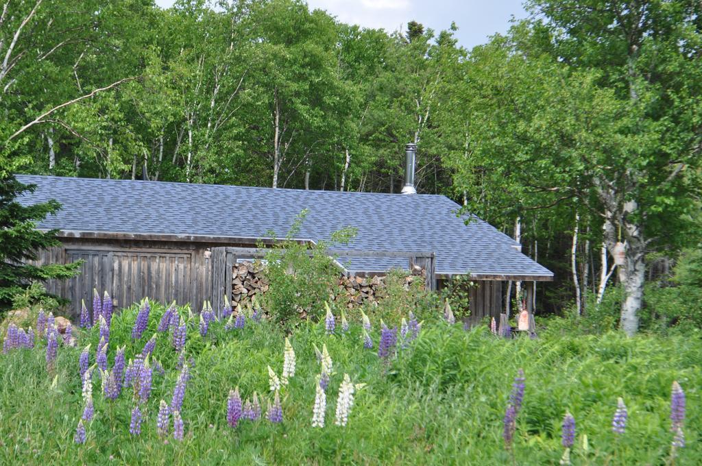 Birch Plain The Sleeping Moose Cottage מראה חיצוני תמונה