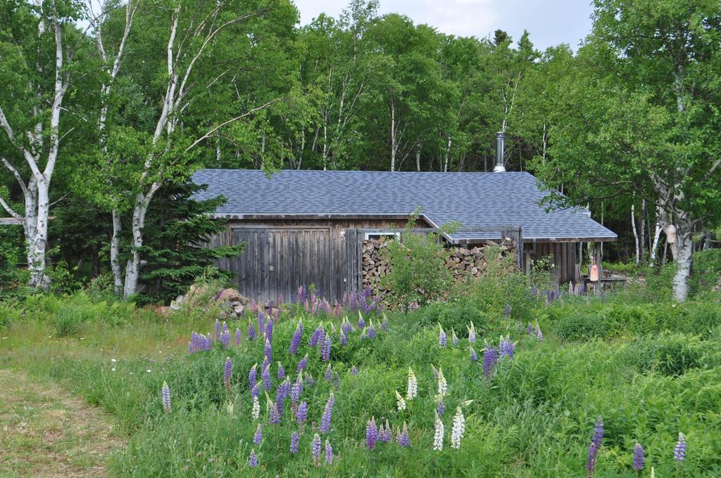 Birch Plain The Sleeping Moose Cottage מראה חיצוני תמונה
