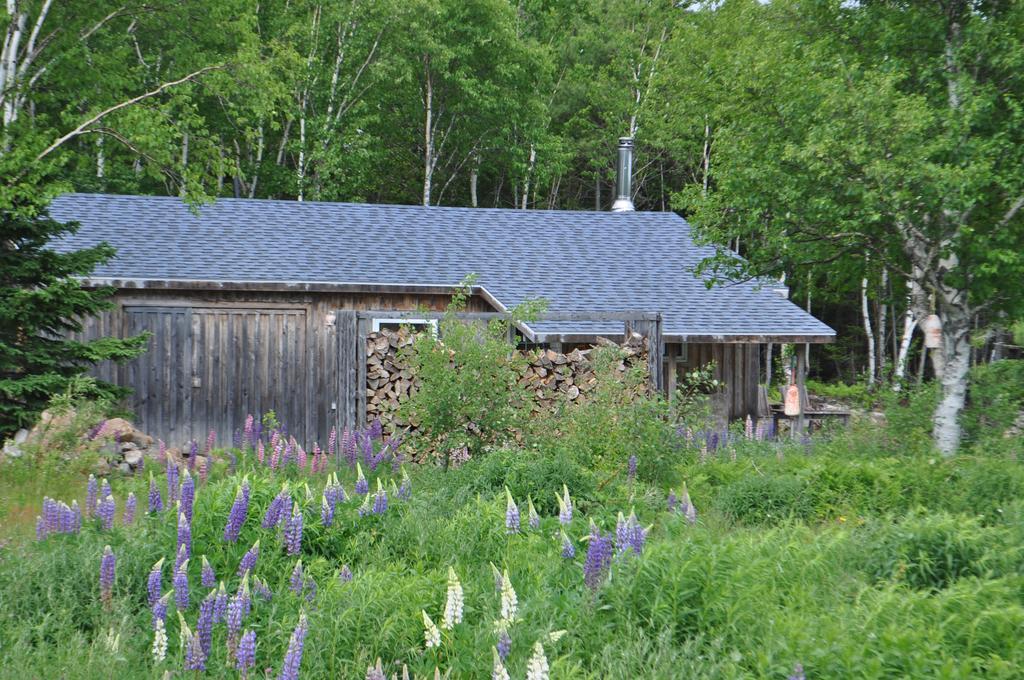 Birch Plain The Sleeping Moose Cottage מראה חיצוני תמונה