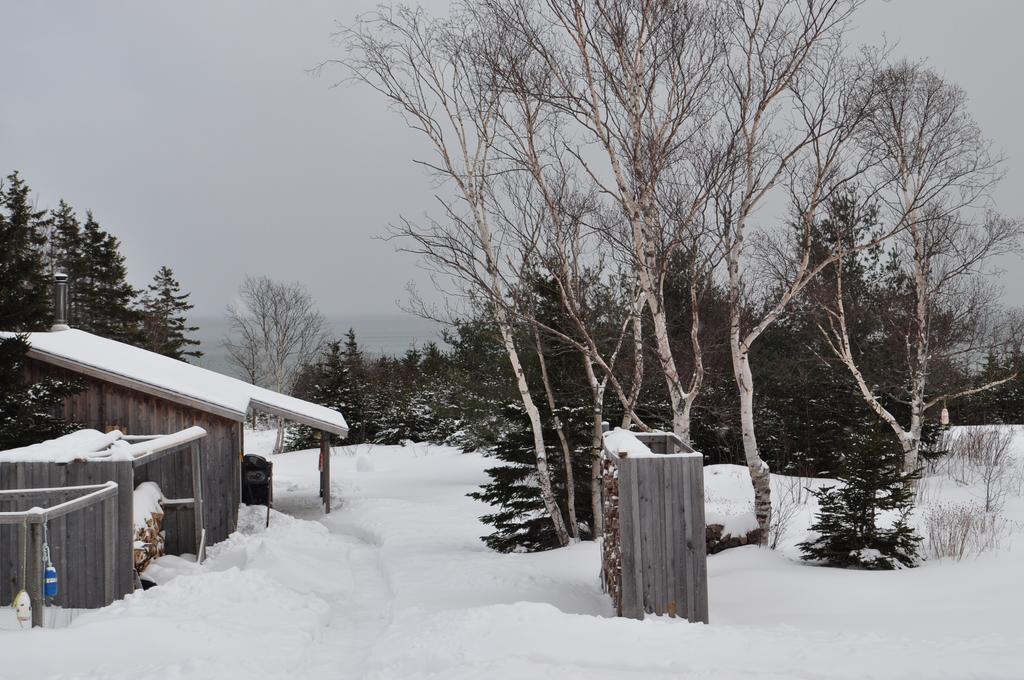 Birch Plain The Sleeping Moose Cottage מראה חיצוני תמונה