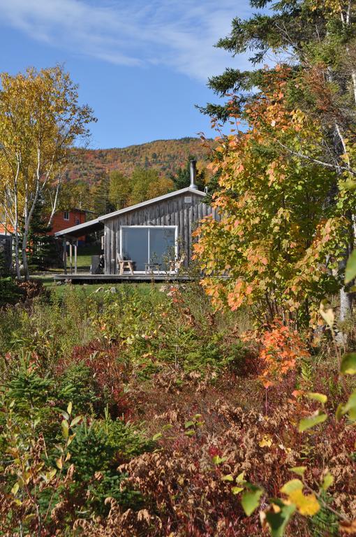 Birch Plain The Sleeping Moose Cottage מראה חיצוני תמונה